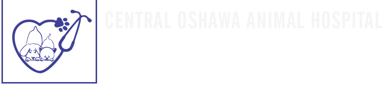CENTRAL OSHAWA ANIMAL HOSPITAL